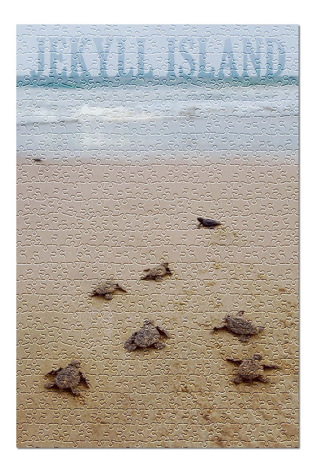 Jekyll Island, Georgia, Sea Turtles Hatching (19x27 inches, Premium 500 Piece Jigsaw Puzzle for Adults and Family, Made in )