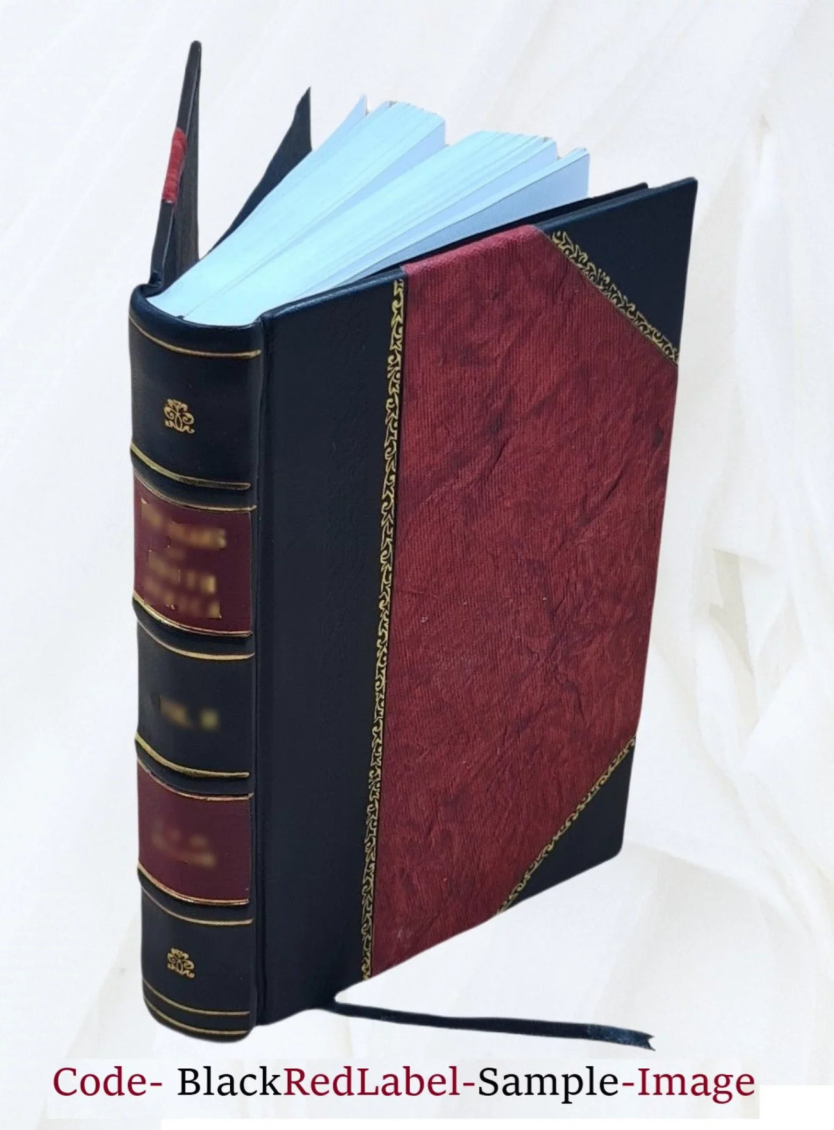 The hygienic prevention of consumption / by J. Edward Squire. 1893 [Leather Bound]