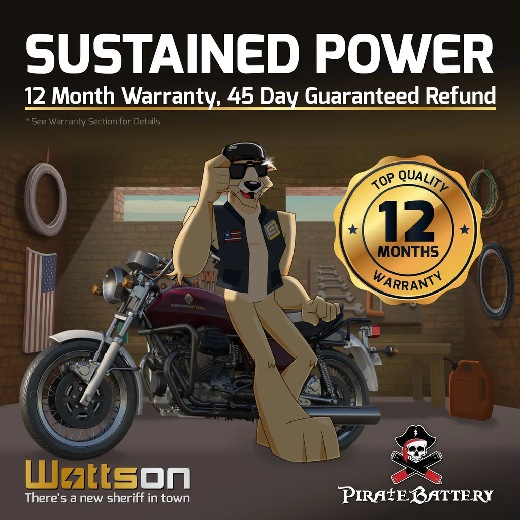 Pirate Battery YTX14- (14- 12 Volt,12 Ah, 200 ) Motorcycle Battery for Honda 1100cc Vt1100c, C3, T Shadow (spirit, Aero, A. C. E. Tourer) 2005