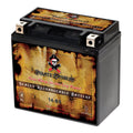 Pirate Battery YTX14- (14- 12 Volt,12 Ah, 200 ) Motorcycle Battery for Kawasaki 800cc Vn800-a, B, C, E Vulcan, Classic, Drifter 1995