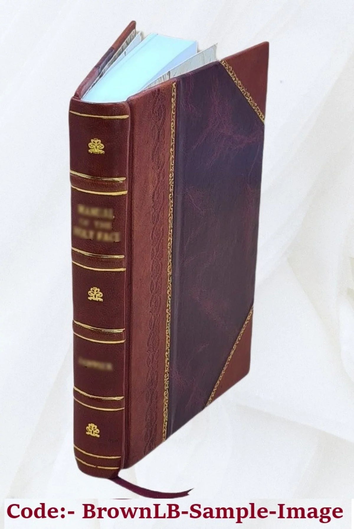 Sok pyongjang tosol 1750 [Leather Bound]