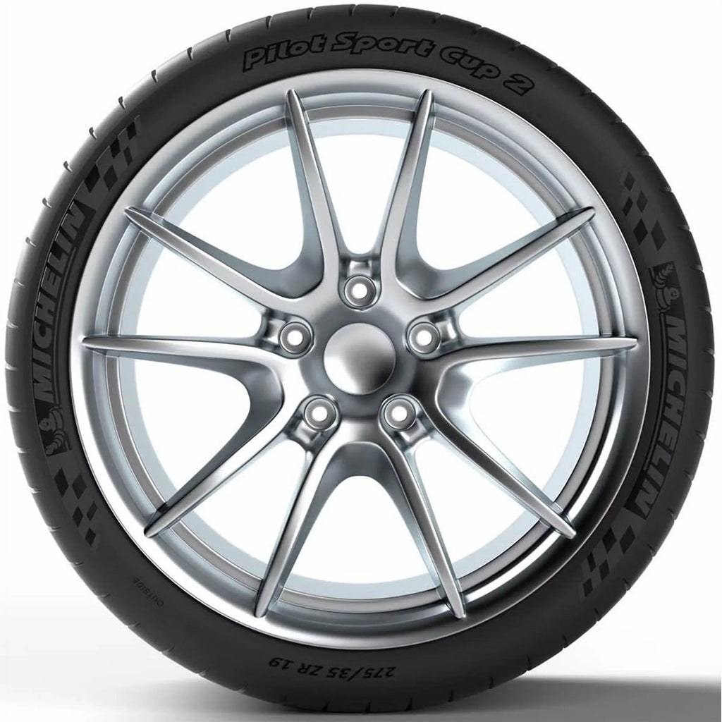Michelin Pilot Sport Cup 2 Summer 315/30ZR21/ (105Y) Tire
