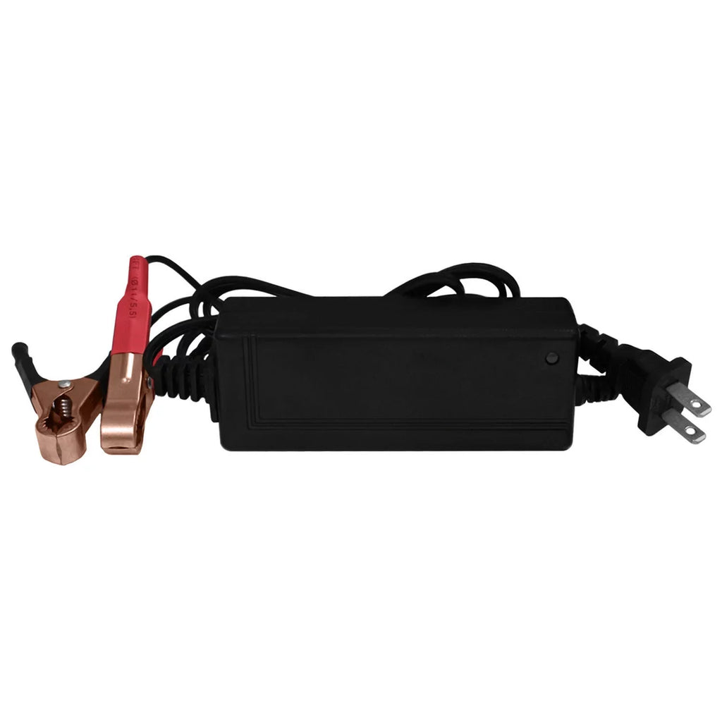 YTZ12S  Replaces Honda Super Hawk VRT1000F 2000 + 12V 2Amp Charger